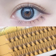 10D Eyelash 60 Clusters Professional Grafting Eyelash 3D Natural False Eyelash Personal Eyelash Exte