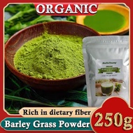 Barley Grass Powder 100% Pure &amp; Organic Organic Barley Grass Powder Pure Organic Barley for Women and Men 250g Gluten-Free Soy-Free Vegan &amp; Paleo – Daily Greens Booster