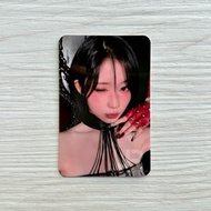 ASA Card Authentic babymonster