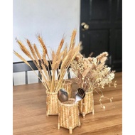 Bekas Sudu Mengkuang Bekas Hiasan Rustic