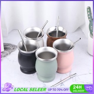 2Pcs/Set yerba mate cup argentina stainless Steel yerba mate with straw spoon mini gourd cup Set