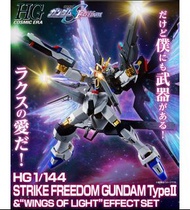 HG 1/144 突擊自由高達 TypeII &wings of light