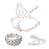 Spiked Cổ Áo Gothic Vesh Dây Xích Cho Nam Nữ bé trai và bé gái Vòng Cổ Chó