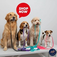 Aeolus GroomEase Pet Grooming Lead