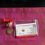 Authentic Lab Tested Nepal 6 Face Rudraksha.