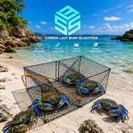 10 Stainless Steel Crab Trap 48x31x18 cm | Sentec 3.40 mm Wire Ready to Use Direct from the Manufact