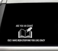 are You an Exam Cuz I Have Been Studying You Like Crazy Book Feather Relationship Quote Car Window Laptop Vinyl Decal Decor Sticker Mirror Wall Bathroom Bumper 7 Inch