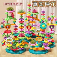 YIMI Creative Flower Building Blocks DIY Building Block Eternal Flower Blocks Building Block Flower 