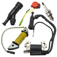 Ignition Charging Coil For GX160 GX200 5.5HP 6.5HP GX 160 200 Stop Switch Spark Plug Lawnmower Engin