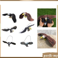 [PerfkMY] Simulated Eagle Model Kids Toy Highly Detailed Educational Eagle Statue Eagle