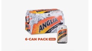 Non Halal Anglia Shandy | 6 x 320ml