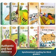 Grade 3 Extracurricular Reading List