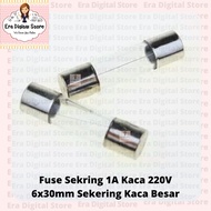Fuse 1A Glass Fuse 220V 6x30mm Large Glass Fuse