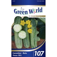 NON GMO SEEDS 107 Green World Cucumber Batu (40 seeds) 石黄瓜 GW107 benih timun