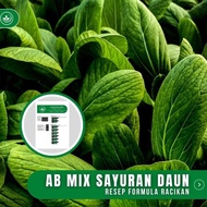ready Resep AB Mix Sayur Daun Formula Racikan Nutrisi AB Mix Sayuran