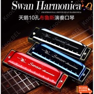 [SG] Swan Harmonica 10 Holes, 24 Holes Blues Harmonica Key of C Learning Harmonica with Box
