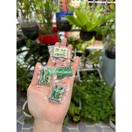 Detective Conan Detective Badge