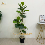 1 PAKET TANAMAN HIAS PLASTIK POHON KETAPANG AESTHETIC DAUN SINTETIS KARET KEBO 11 METER RB6120 DAUN