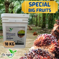 SPECIAL BIG FRUITS Baja Kelapa Sawit NPK 2-10-40 Tx Argo Sdn Bhd 10kg baja paksa buah K50 baja muraH
