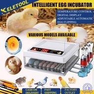 24egg incubator/134incubator egg automatic Egg Tray LED Digital Display  Bird Chicken Duck Poultry H
