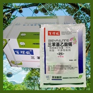 [ORIGINAL] 40g x 125packet RACUN SIPUT GONDANG Mas / Babi / Poison Gondang Emas