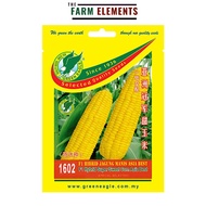 GE 1602 F1 Hybrid Asia Best Super Sweet Corn Seed/ F1 Hibrid Jagung Manis Asia Best Benih(5gm)