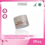ANIMATE Brightening Pro Coverage Foundy - Foundation Skincare