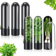 Cross-Border Hot-Selling Herb Storage Box Vegetable Fresh Keeper Coriander Herb Storage Box