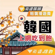 飛速【韓國網卡 首爾 釜山 濟州島】吃到飽 sk telecom 韓國上網卡 韓國sim卡 韓國網路 網卡保證 首爾網路卡