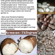 umbi gembili kembili gembolo 1 kilogram