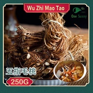 Wu Zhi Mao Tao Ficus Simlicissima Lour 250g 五指毛桃 Herbal Soup 3AZB