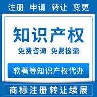 Software Copyright Copyright Software Application Knowledge Property Rights Professional Agent Insti