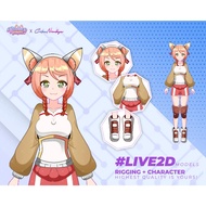 Create Attractive Content with VTuber Live2D Model for Streaming, Virtual VTuber Model, Live2D Chara