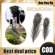 10pcs 25-50cm Natural Peacock Feather Peacock Eye Tail Feather Natural DIY Decoration Peacock Feathe