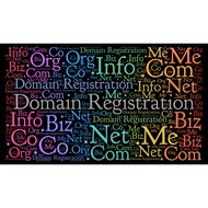 Domain name registration for company
