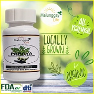 Papaya Leaf Capsule 500mg pure natural locally grown and farm grown