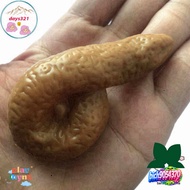 7cm Creative Fun Mini Toys Suitable for Children or Mini 7cm Creative Attractive Fun Toys