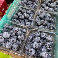 พร้อมส่ง‼️บลูเบอร์รี่ (6แพ็ค,12แพ็ค) blueberry
