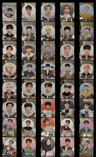Seventeen 大扇