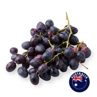 RedMart Australia Black Seedless Grapes