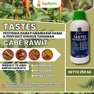 Obat Cabai Busuk Buah / Obat Busuk Buah Cabe Rawit / Obat Semprot Cabe / Obat Cabe Rawit / Obat Cabe