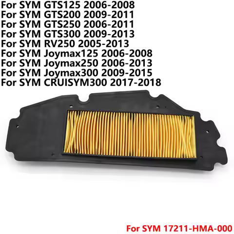 motorcycles air filter for SYM GTS125 GTS200 GTS250 GTS300 RV250 Joymax125 Joymax250 Joymax300 CRUIS