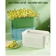 Bean sprout tray, Hydroponic sprout soil-free planting tools, bean sprout tray for families MS-2026