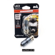Led Headlight Bulb White-Yellow Light 6000K T19 Socket (1 Piece) Genuine Very Bright Durable For Mot