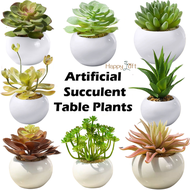 [SG SELLER]Artificial Succulent Mini Fake Succulent Plants Table Plant Home Office Decor Faux Succulent With Ceramic Pot