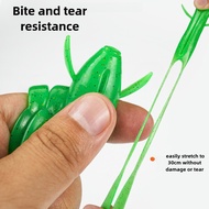 Soft Frog Set Box 5pcs with Jig Hook Bait Simulation Soft Lure Ikan Umpan Casting Pancing Jump Katak