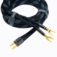 Arklove 1pcs 10ft 14awg Premium Heavy Duty Braided Wire Dual Banana to Y-Type Gold Plated Plug Speak