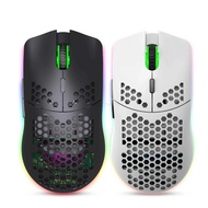 HXSJ T66 Hole Mouse 2.4G Wireless Mouse Lightweight Design Cellular RGB Glow 6-Key MouseM240725