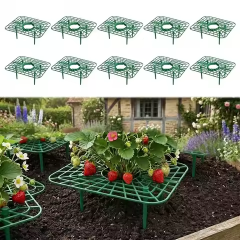 5/10Pcs Strawberry Plant Support Strawberry Growing Racks Strawberry Growing Frame for Keeping Garde