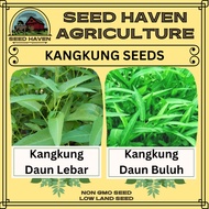 Water Convolvulus seed (120 seeds) / Benih Kangkung